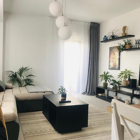 New Apartment Cartier Albert @ Ploiesti Nord Экстерьер фото
